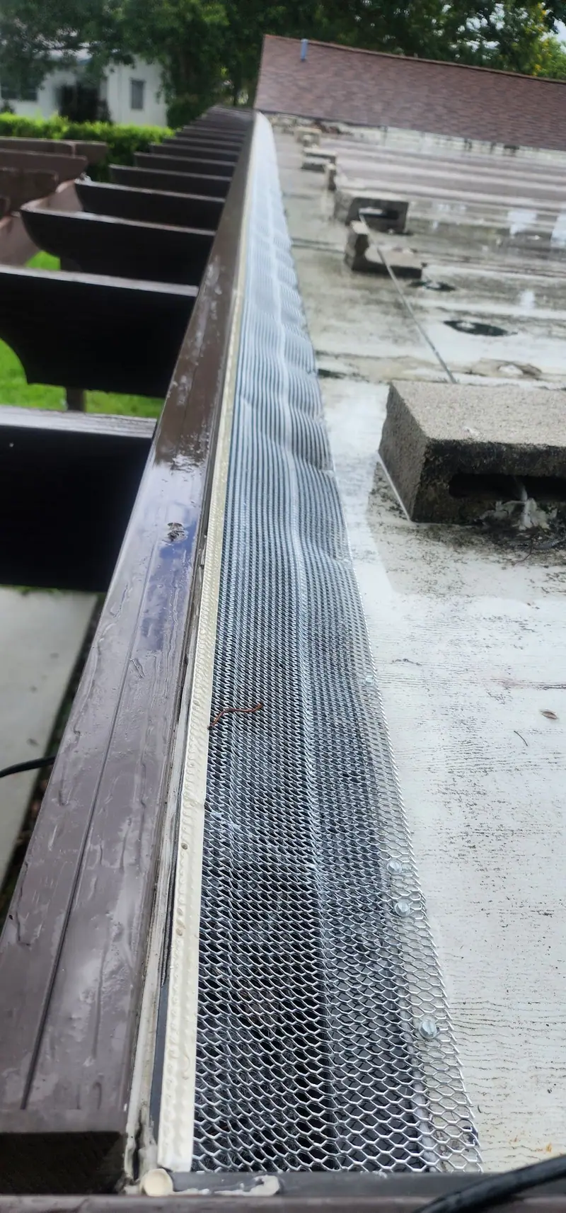 Leaf guard mesh installed along a gutter