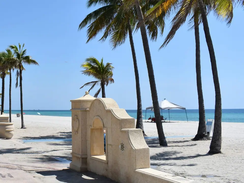 Palms over the sand at the Hollywood Beach Broadwalk in Hollywood, FL